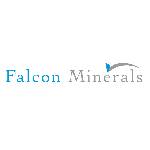 Logo Falcon Minerals
