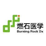 BNR - Burning Rock Biotech Limited